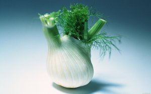培训体系